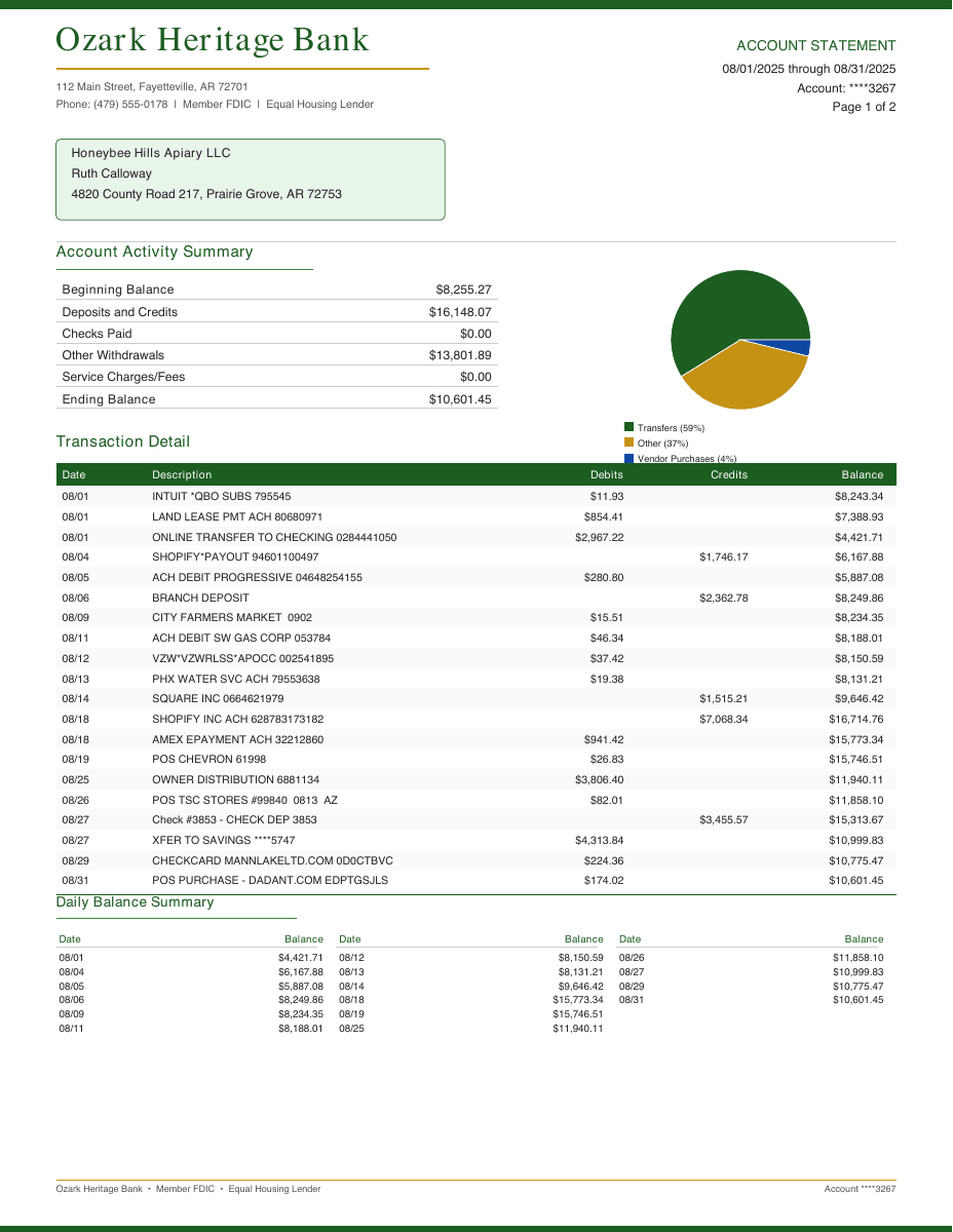 Sample bank statement preview