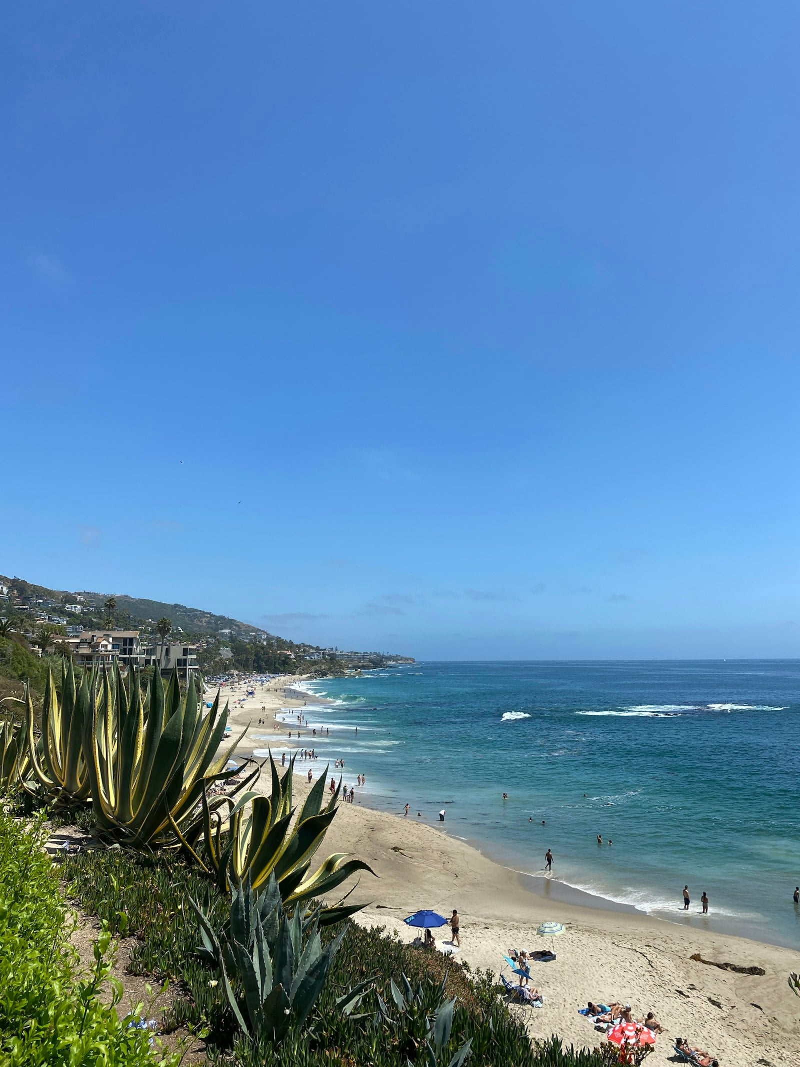 Customer Success: How a Los Angeles Accounting Firm Reduced Data Entry Across Dozens of Books